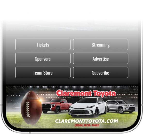 digital program ad